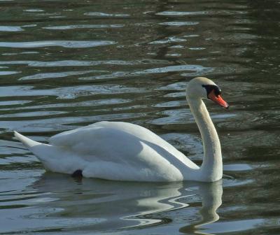 Прикрепленное изображение: 002.jpg